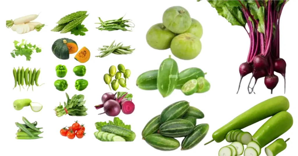 Vegetables in Monsoon Season